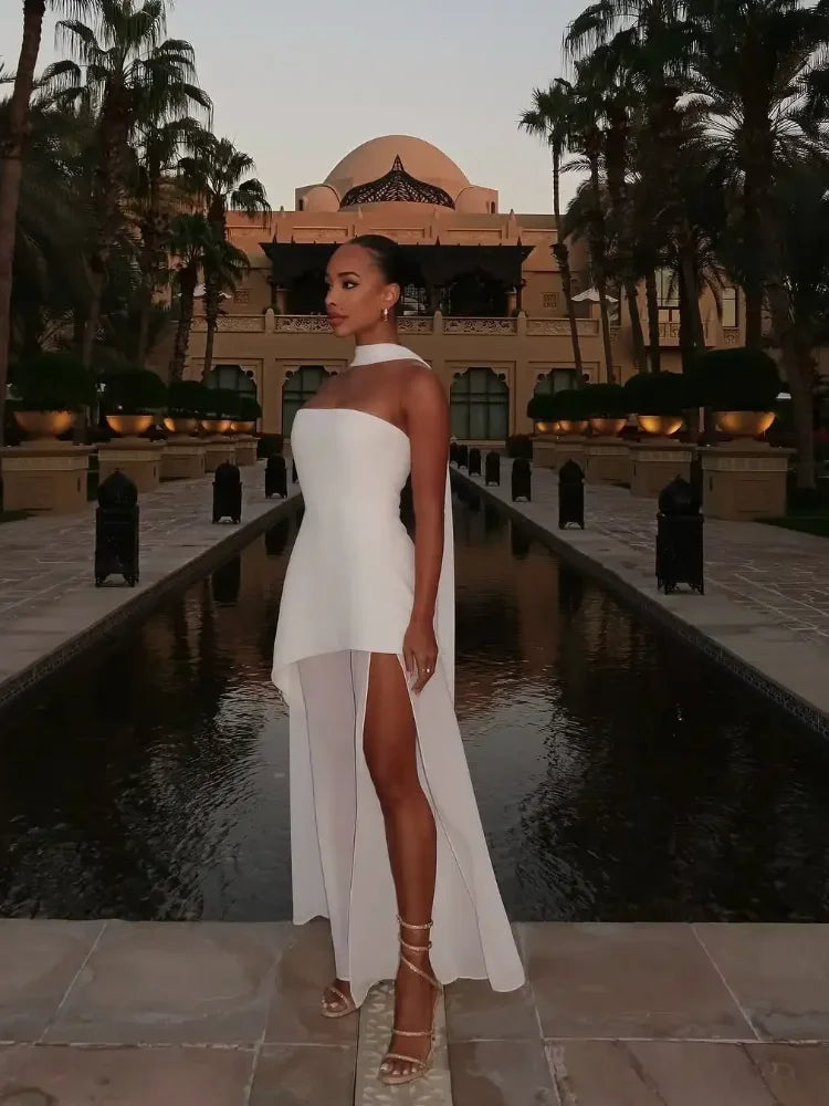 Strapless Mesh Maxi Dress